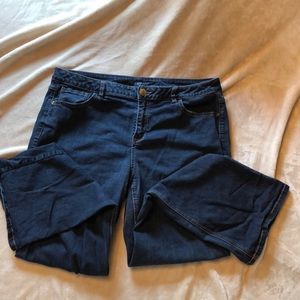 Lane Bryant Boot cut denim jeans.